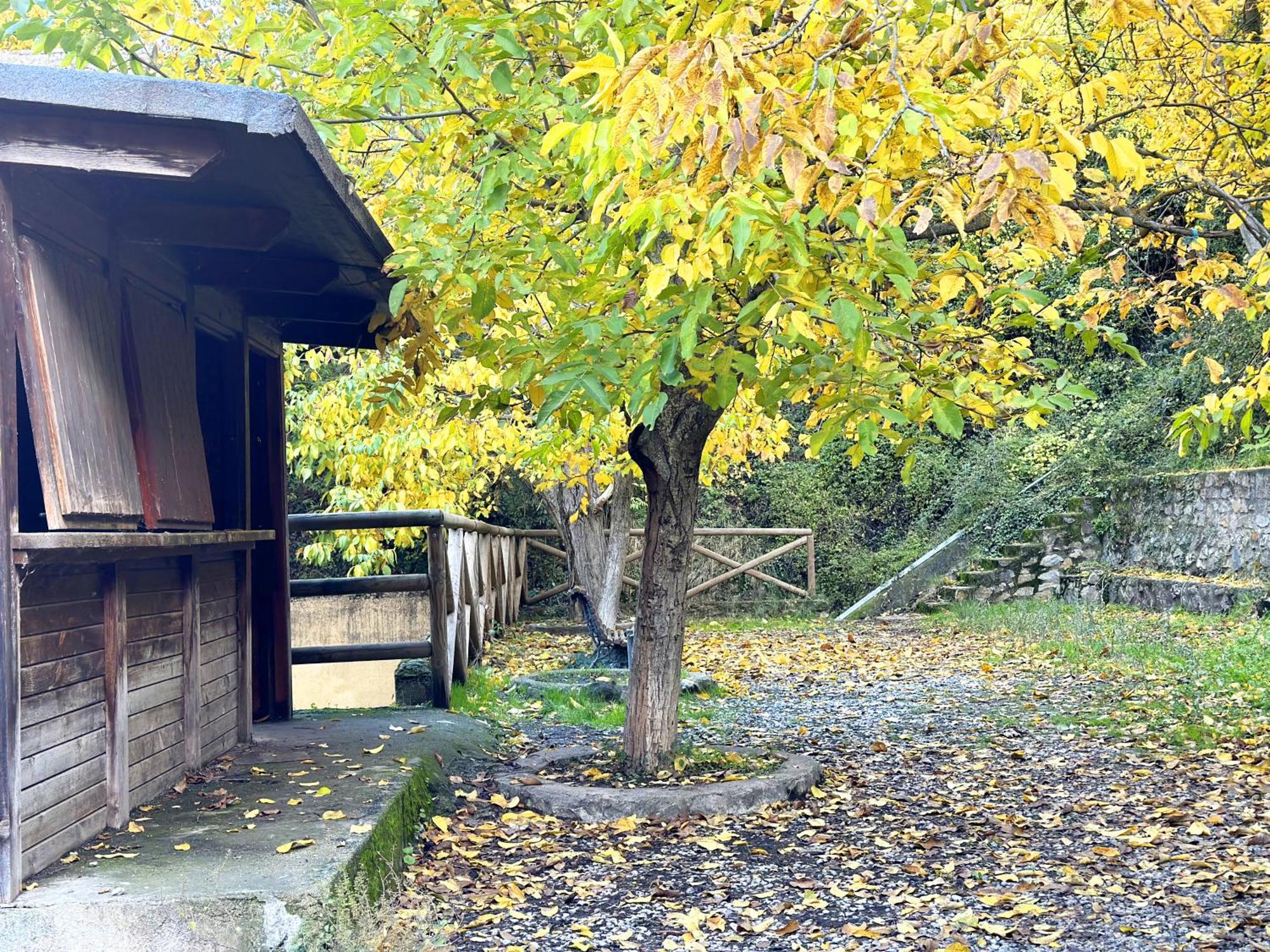 Suenos De Monachil 아파트 외부 사진